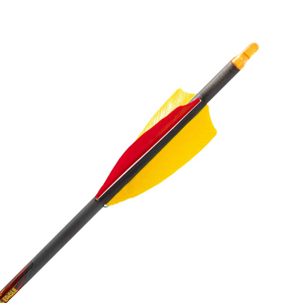 Black Eagle Outlaw Feather Fletched Arrows