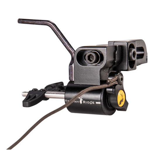 Sync Arrow rest